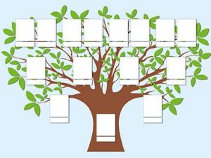 como hacer un arbol genealogico